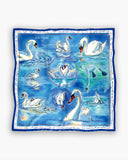 A Swan