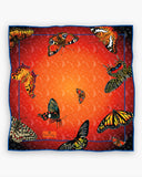 Poésie de Papillons - Soleil